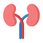 Nephrologist