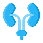 Urologist